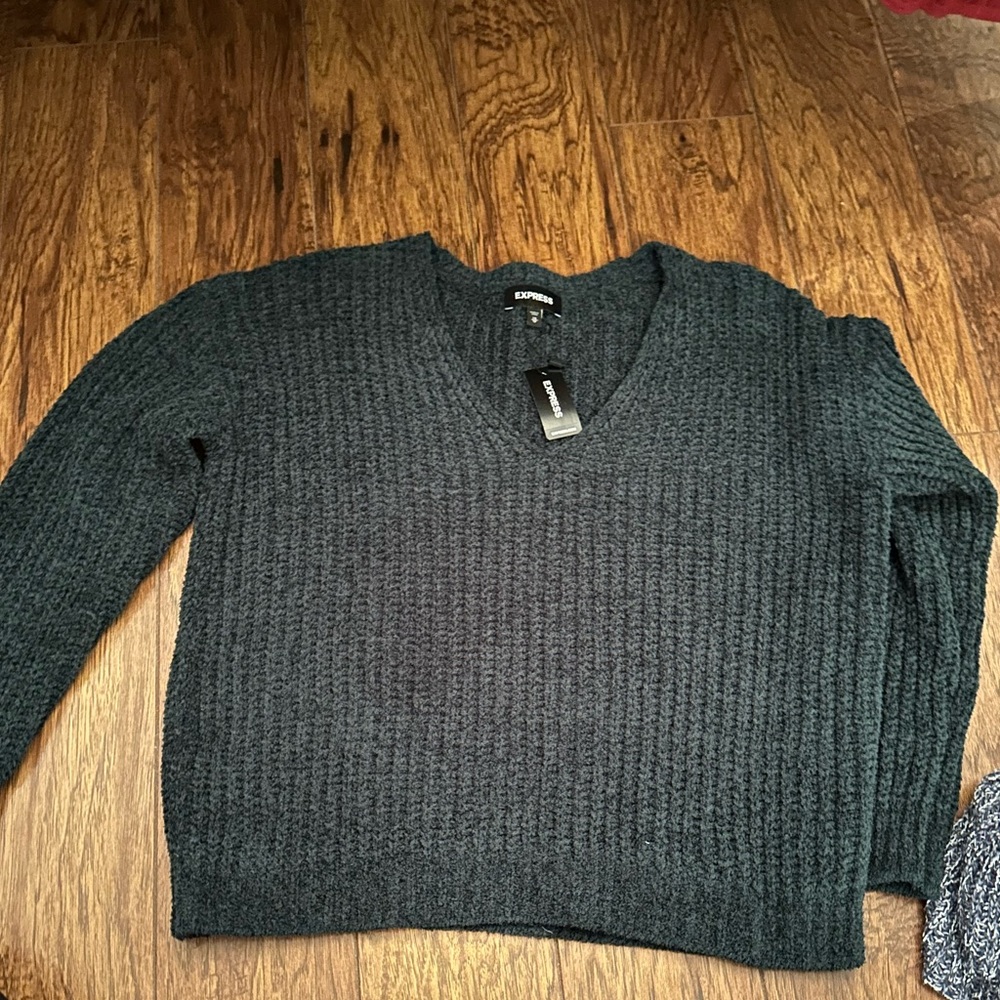 Express V Neck Sweater